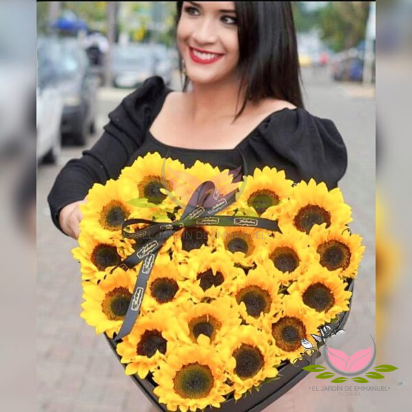 BOX DE COZARON GIRASOL