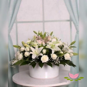 BOX ESPECIAL CONDOLENCIAS