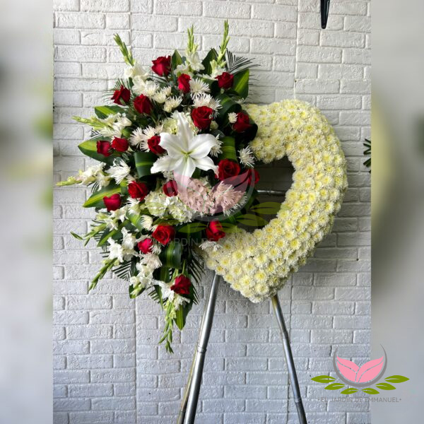 CORAZÓN FANNYT