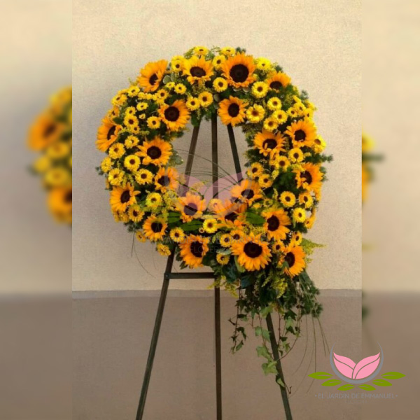 CORONA PICAROMA LILY