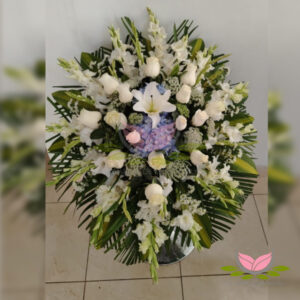 Lágrima iris 2 G