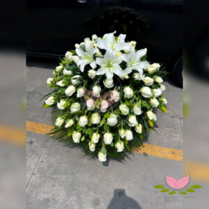 MANTO FUNEBRE PAZ