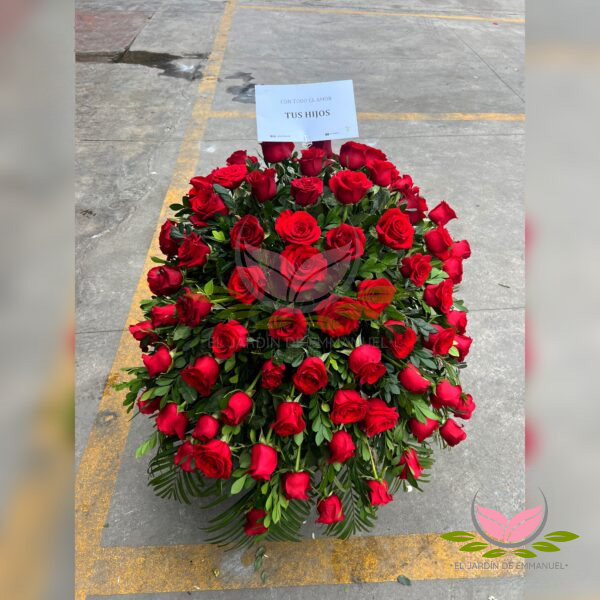 MANTO FÚNEBRE PREMIUN SIRI