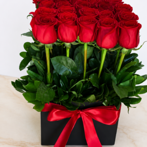 Box de 24 Rosas